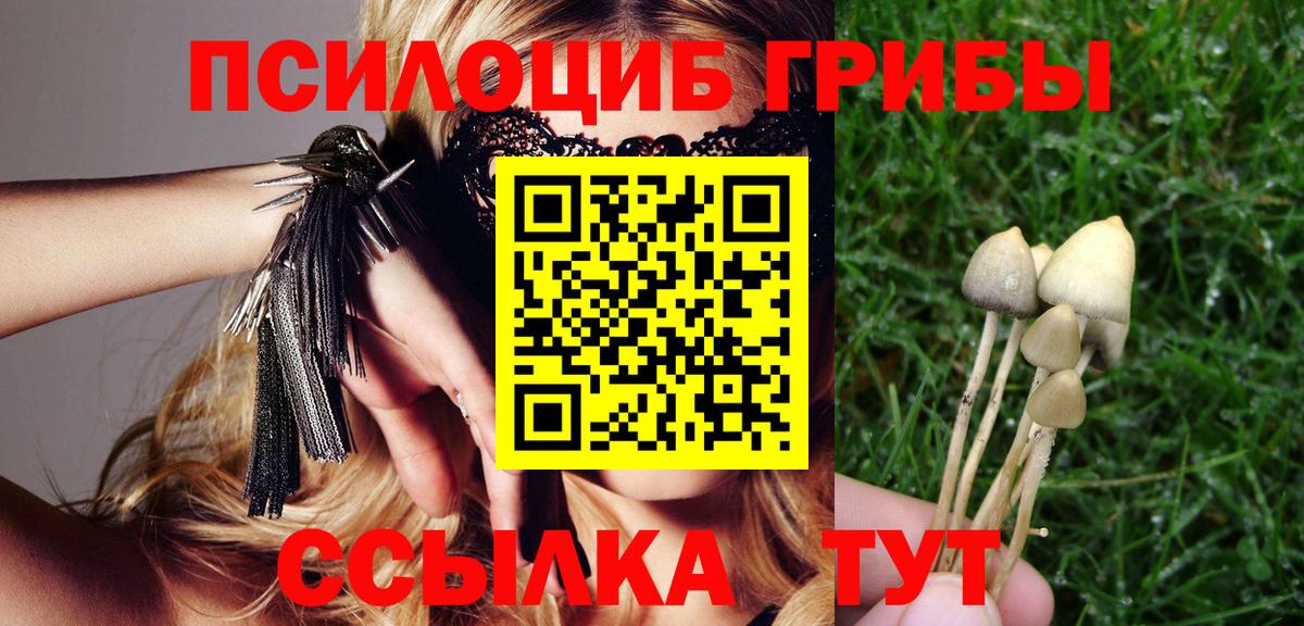 Галлюциногенные грибы Psilocybe  Вход с VPN  Лабинск 