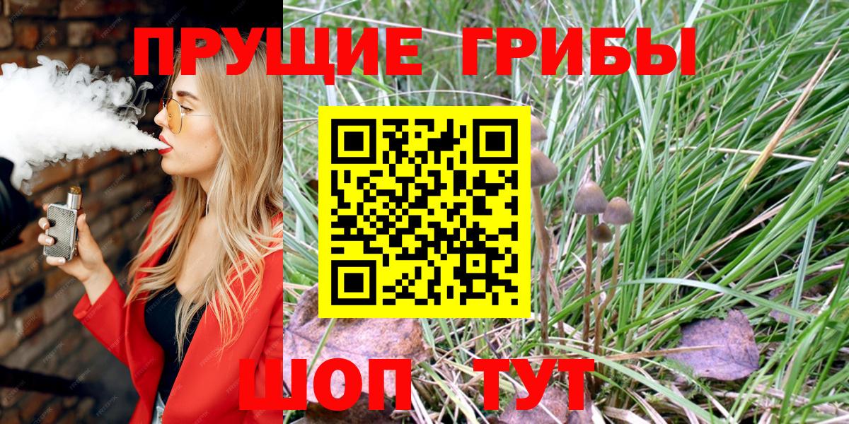 Галлюциногенные грибы Psilocybe Лабинск